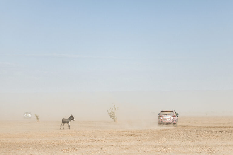 étape 3 rallye roses des sables 2026